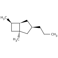 2d structure of (1S,3R,5R,6R)-1,6-dimethyl-3-propylbicyclo[3.2.0]heptane