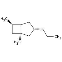 2d structure of (1S,3S,6R)-1,6-dimethyl-3-propylbicyclo[3.2.0]heptane