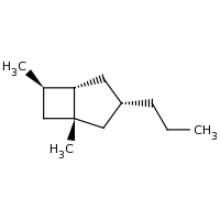 2d structure of (1R,3S,5S,6R)-1,6-dimethyl-3-propylbicyclo[3.2.0]heptane