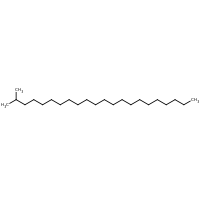 2d structure of 2-methyldocosane