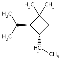 2d structure of 1-[(1S,2R)-3,3-dimethyl-2-(propan-2-yl)cyclobutyl]ethyl