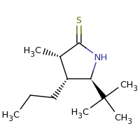 2d structure of (3S,4R,5R)-5-tert-butyl-3-methyl-4-propylpyrrolidine-2-thione
