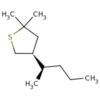 2d structure of (4S)-2,2-dimethyl-4-[(2R)-pentan-2-yl]thiolane