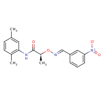 2d structure of (2S)-N-(2,5-dimethylphenyl)-2-{[(E)-[(3-nitrophenyl)methylidene]amino]oxy}propanamide