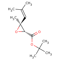 2d structure of tert-butyl (2R,3S)-3-methyl-3-(2-methylprop-1-en-1-yl)oxirane-2-carboxylate