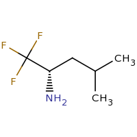 2d structure of (2S)-1,1,1-trifluoro-4-methylpentan-2-amine