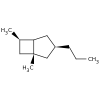 2d structure of (1R,3R,6R)-1,6-dimethyl-3-propylbicyclo[3.2.0]heptane
