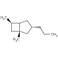 2d structure of (1R,3S,6R)-1,6-dimethyl-3-propylbicyclo[3.2.0]heptane