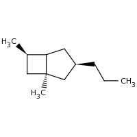 2d structure of (1S,3R,6R)-1,6-dimethyl-3-propylbicyclo[3.2.0]heptane