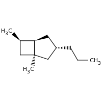 2d structure of (1S,3S,5R,6R)-1,6-dimethyl-3-propylbicyclo[3.2.0]heptane