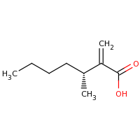 2d structure of (3R)-3-methyl-2-methylideneheptanoic acid