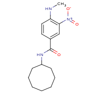 2d structure of N-cyclooctyl-4-(methylamino)-3-nitrobenzamide