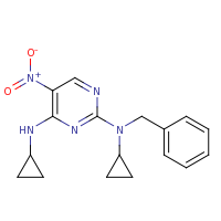 2d structure of 2-N-benzyl-2-N,4-N-dicyclopropyl-5-nitropyrimidine-2,4-diamine