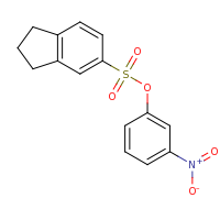 2d structure of 3-nitrophenyl 2,3-dihydro-1H-indene-5-sulfonate