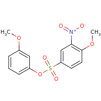2d structure of 3-methoxyphenyl 4-methoxy-3-nitrobenzene-1-sulfonate