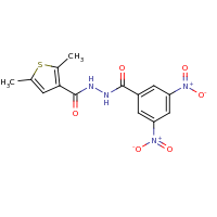 2d structure of N'-[(2,5-dimethylthiophen-3-yl)carbonyl]-3,5-dinitrobenzohydrazide