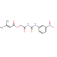 2d structure of 2-{[(3-nitrophenyl)carbamoyl]amino}-2-oxoethyl 3-methylbut-2-enoate