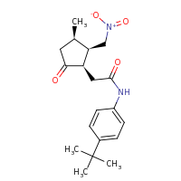 2d structure of N-(4-tert-butylphenyl)-2-[(1R,2R,3R)-3-methyl-2-(nitromethyl)-5-oxocyclopentyl]acetamide