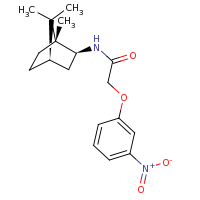 2d structure of 2-(3-nitrophenoxy)-N-[(1R,2S,4R)-1,7,7-trimethylbicyclo[2.2.1]heptan-2-yl]acetamide