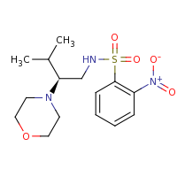 2d structure of N-[(2S)-3-methyl-2-(morpholin-4-yl)butyl]-2-nitrobenzene-1-sulfonamide