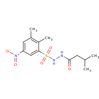 2d structure of N'-[(2,3-dimethyl-5-nitrobenzene)sulfonyl]-3-methylbutanehydrazide