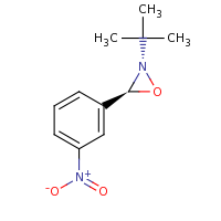 2d structure of (2S,3S)-2-tert-butyl-3-(3-nitrophenyl)oxaziridine