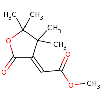 2d structure of methyl 2-[(3E)-4,4,5,5-tetramethyl-2-oxooxolan-3-ylidene]acetate