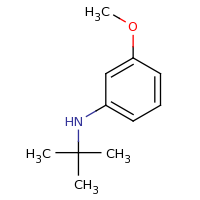 2d structure of N-tert-butyl-3-methoxyaniline