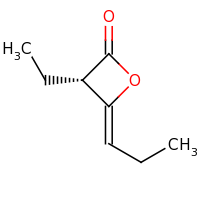 2d structure of (3S,4Z)-3-ethyl-4-propylideneoxetan-2-one