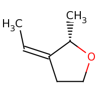 2d structure of (2S,3Z)-3-ethylidene-2-methyloxolane