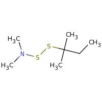 2d structure of dimethyl[(2-methylbutan-2-yl)disulfanyl]amine