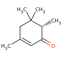 2d structure of (6S)-3,5,5,6-tetramethylcyclohex-2-en-1-one