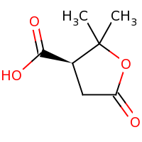 2d structure of (3R)-2,2-dimethyl-5-oxooxolane-3-carboxylic acid