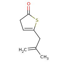 2d structure of 5-(2-methylprop-2-en-1-yl)-2,3-dihydrothiophen-2-one