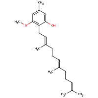2d structure of 3-methoxy-5-methyl-2-[(2E,6E)-3,7,11-trimethyldodeca-2,6,10-trien-1-yl]phenol