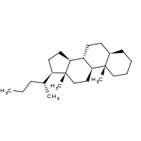 2d structure of (1S,2S,7R,10R,11S,14R,15R)-2,15-dimethyl-14-[(2R)-pentan-2-yl]tetracyclo[8.7.0.0^{2,7}.0^{11,15}]heptadecane