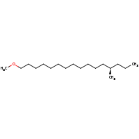 2d structure of (13R)-1-methoxy-13-methylhexadecane
