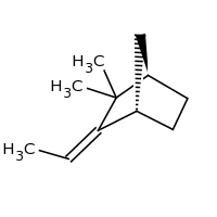 2d structure of (1R,3Z,4S)-3-ethylidene-2,2-dimethylbicyclo[2.2.1]heptane