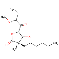 2d structure of (3R,5S)-3-hexyl-5-[(2R)-2-methoxybutanoyl]-3-methyloxolane-2,4-dione