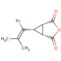 2d structure of (1R,5S,6S)-6-(1-bromo-2-methylprop-1-en-1-yl)-3-oxabicyclo[3.1.0]hexane-2,4-dione