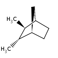 2d structure of (1R,2S,3S,4S)-2,3-dimethylbicyclo[2.2.1]heptane